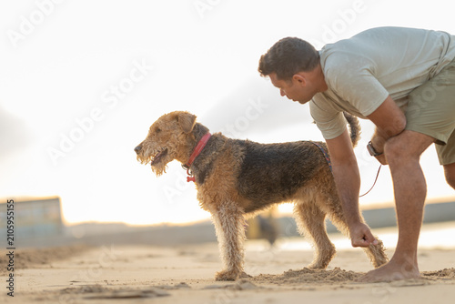 Foto Man in light shirt crouches beside brown and black dog on sandy beach during sunset, with ocean waves and distant figures visible in the background