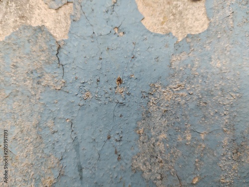 A distressed wooden surface featuring random peeling paint, chipped layers, cracks, scratches, and naturally weathered wood grain. The irregular worn texture creates a rustic, vintage, and aged appear