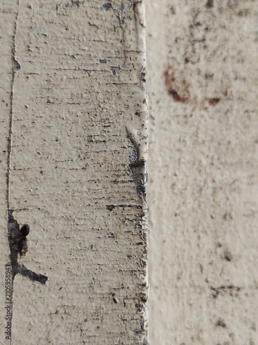 A distressed wooden surface featuring random peeling paint, chipped layers, cracks, scratches, and naturally weathered wood grain. The irregular worn texture creates a rustic, vintage, and aged appear