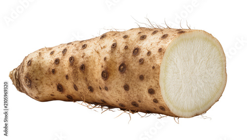 Vászonkép Isolated fresh whole and cut yam tuber with textured skin and exposed starchy wh