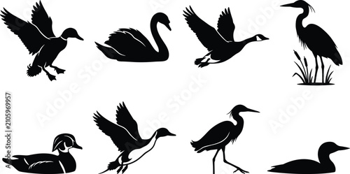 Foto Black Silhouette Vector Set of Waterfowl and Wading Birds in Natural PosesBlack