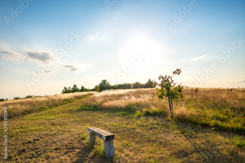 Wooden bench overlooking a sunny grassy hillside beneath a bright blue sky in the countryside