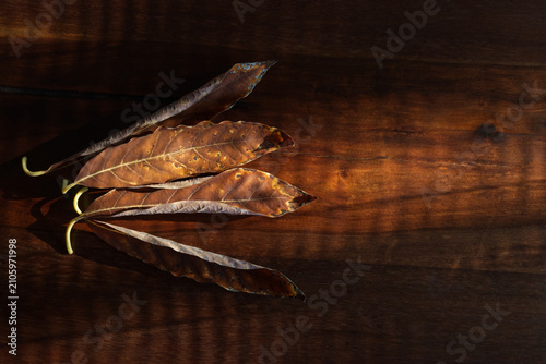 Faded leaves Wooden table Grazing light