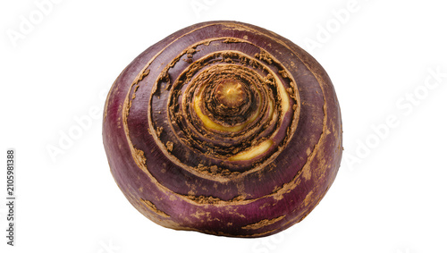 Bild auf Leinwand Isolated raw fresh purple turnip with distinct spiral cut top view and vibrant color