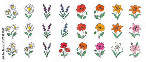 Hand Drawn Floral Illustrations Assortment