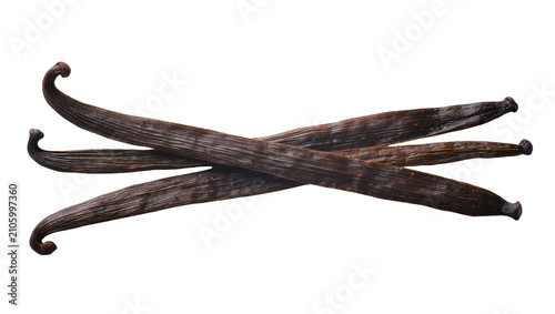 Obraz na plátně Isolated delicious fragrant dark brown vanilla beans for dessert and baking flav