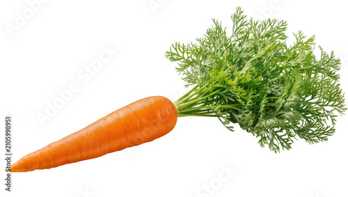 Fotografie Isolated fresh whole orange carrot with vibrant green leaves, healthy organic ve