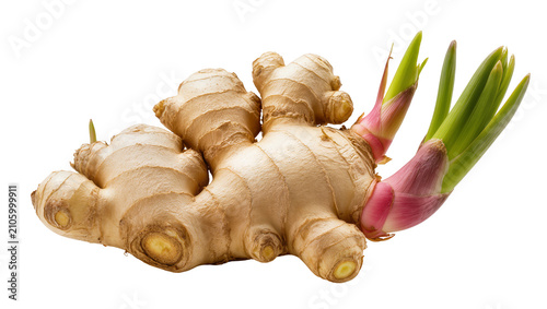 Fotografía Isolated fresh ginger root with green sprouts showing new growth, healthy organi