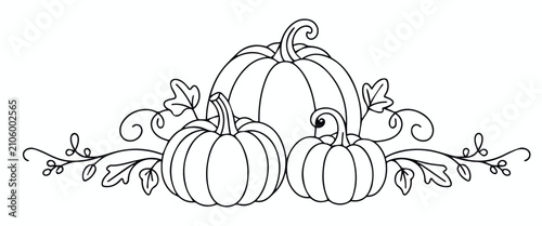 pumpkin vine coloring page line art autumn illustration