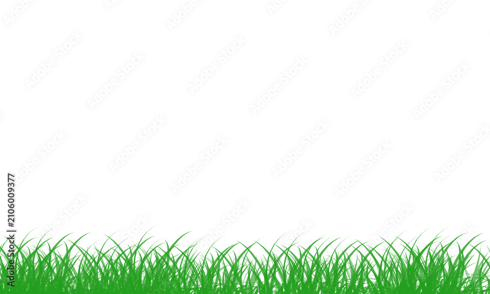 Obraz premium Green grass blades illustration on transparent background