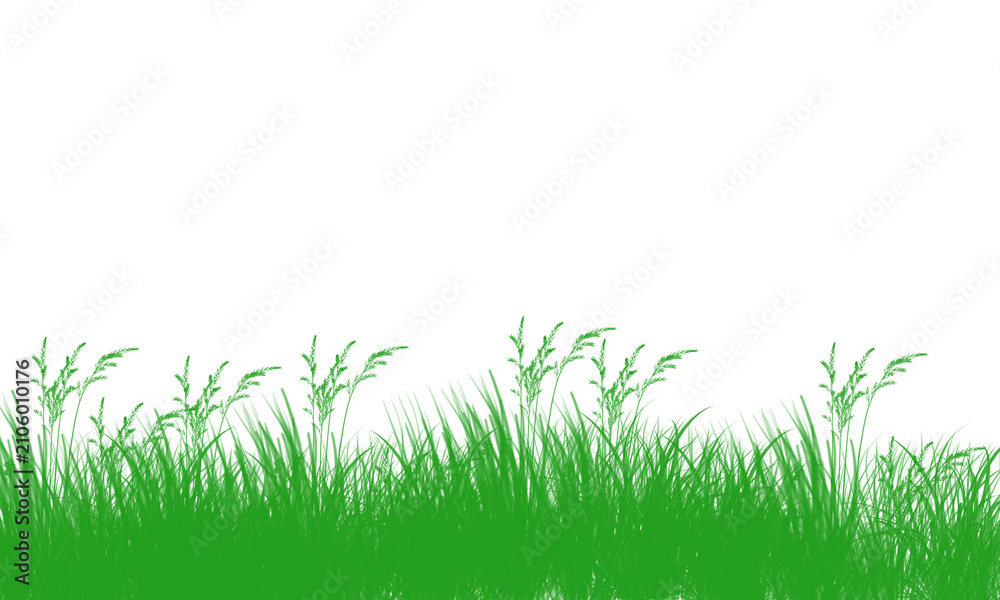 Fototapeta premium Green grass blades and stalks on transparent background