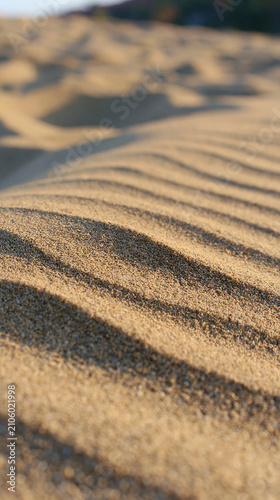 Close-up of textured sand dunes with gentle ripples under soft sunlight, ideal for nature and travel themes.
