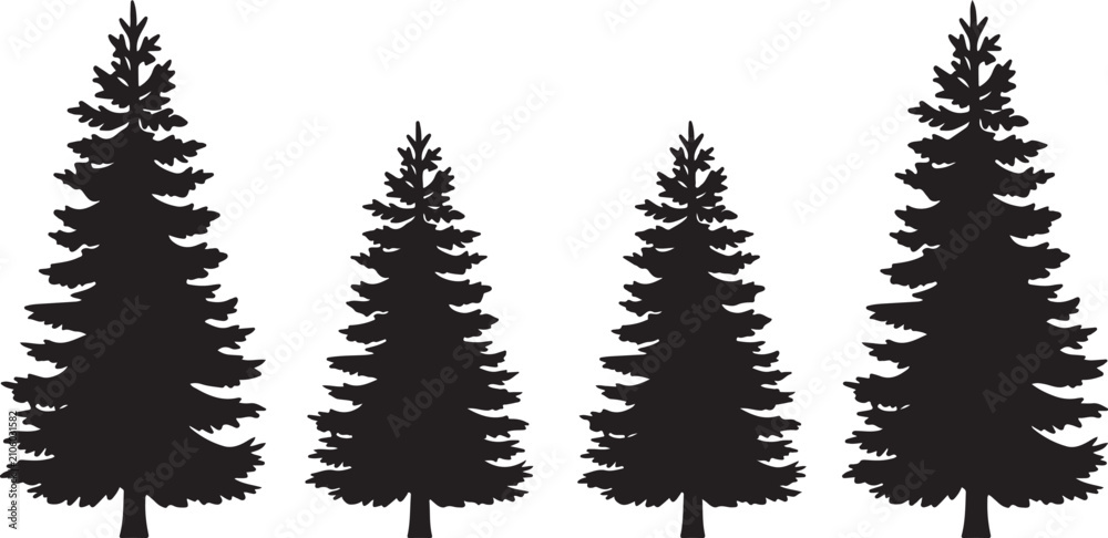 Obraz premium Four tall evergreen pine trees silhouette design isolated on transparent background