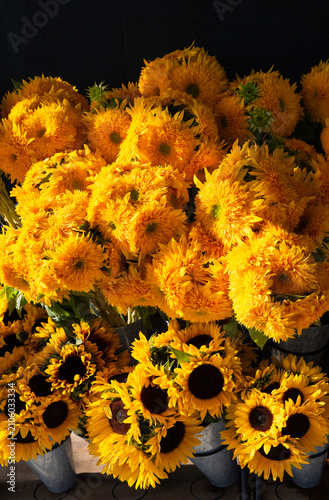Fresh yellow sunflowers arranged in full, vibrant bouquets and displayed for sale at a local farm stand