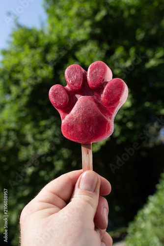 hand holding homemade paw-shaped popsicle ice cream for pets, outdoors in nature