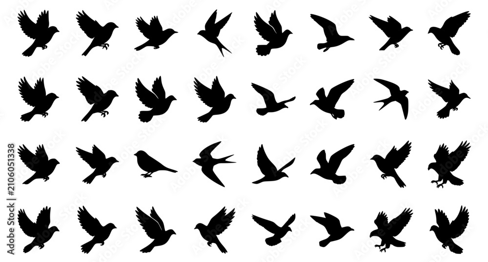 Fototapeta premium Flying Bird Black Silhouette Vector Set with Diverse Wildlife Shapes on White Background