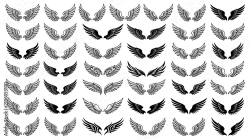 Bild auf Leinwand Collection of Stylized Wing Illustrations