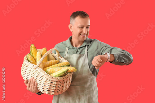Mature male farmer with wic...