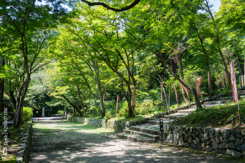 Foto 新緑の木々に包まれた静かな寺社仏閣の参道と石段