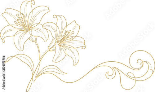 Elegant gold lily floral sketch delicate botanical line art design