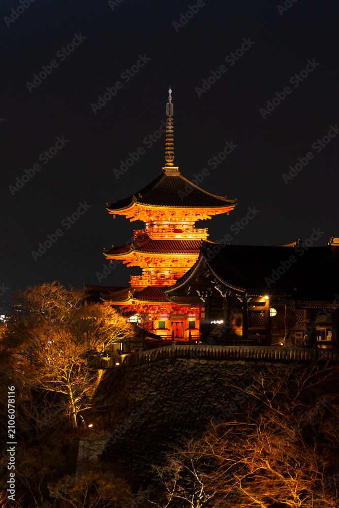 Obraz premium 日本の風景・早春 京都 東山花灯路 世界遺産 清水寺