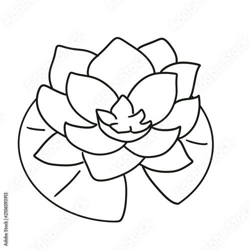 Blooming lotus flower outline vector isolated on white background, simple floral line art for kids coloring book, yoga logo, or spa decoration.