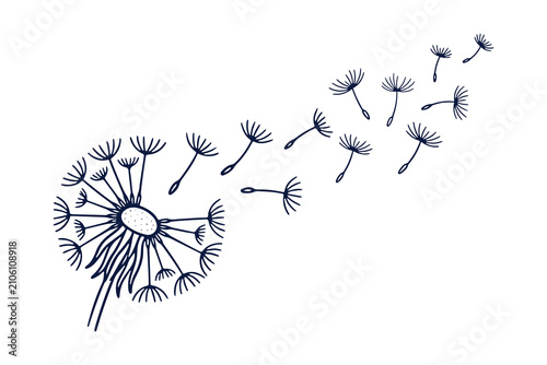 Fotografía dandelion seeds scattering in wind