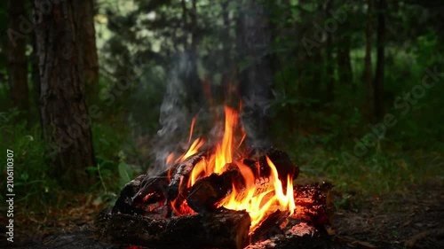 Peaceful campfire burning steadily in green summer forest seamless loop video with authentic crackling fire sound and nature birdsong background for lofi streams, sleep aid and relaxation.