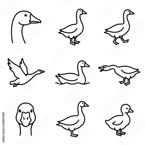 Set of simple line art goose icons showing various poses