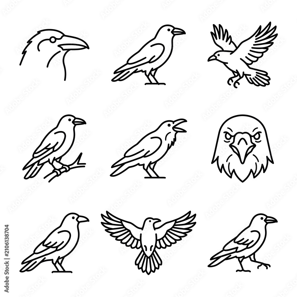 Fototapeta premium Set of black crow and raven bird line art icons