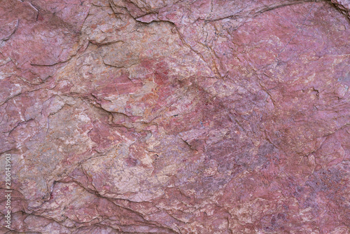 Foto Close up of petrified wood texture with natural fossilized patterns in pink and brown mineral layers