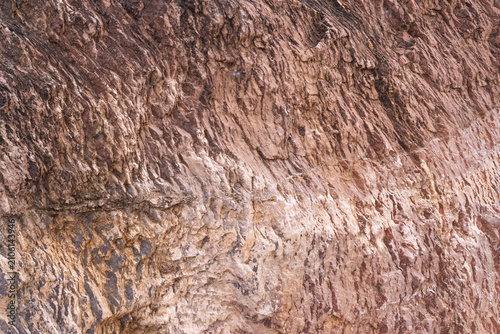 Obraz na plátně Close up of petrified wood texture with fossilized mineral layers and natural geological patterns