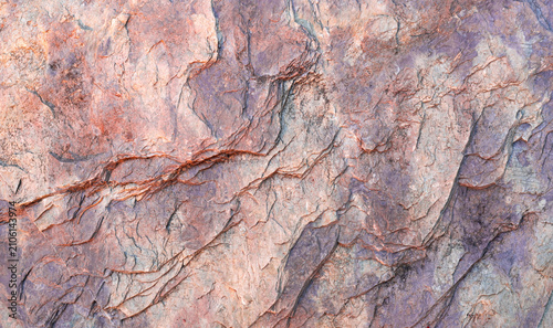 фотографія Close up of colorful petrified wood texture with fossilized mineral layers in purple, pink and brown tones
