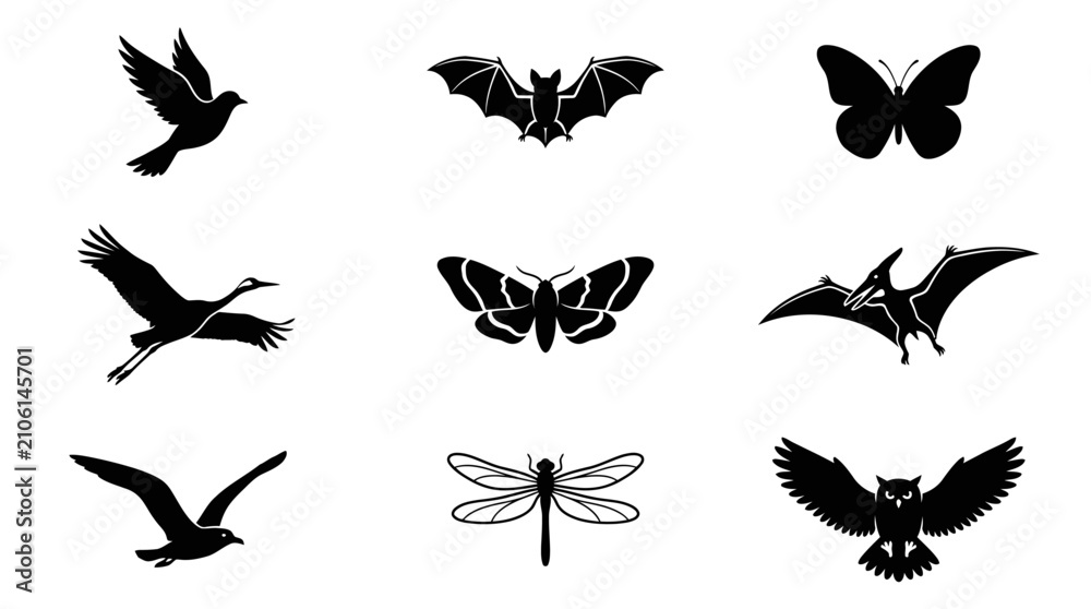 Fototapeta premium Black silhouettes of various flying creatures.