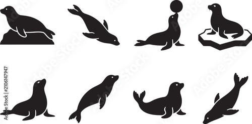 Fotografie Marine fur seals arctic sea lions and floating iceberg wildlife