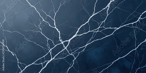 Фотография Abstract blue and white lightning patterns on a dark background evoke a sense of raw, powerful energy and cosmic phenomena