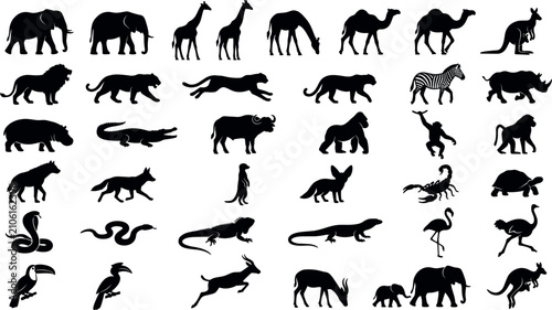 Photography Big set of wild safari animals silhouettes vector including elephant, giraffe, lion, cheetah, kangaroo, monkey, and birds isolated on white background