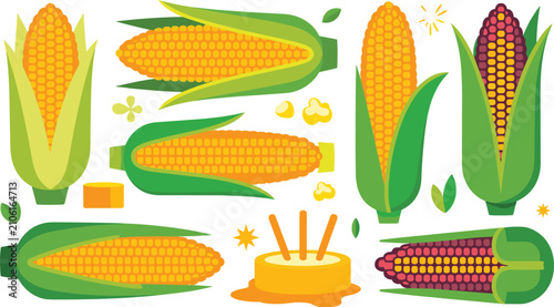 Konstfotografi Corn Collection with Fresh Sweet Corn Cobs, Maize Vegetables, Organic Farm Harve