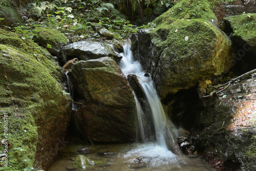 A small waterfall flowing through mossy rocks in a lush green forest