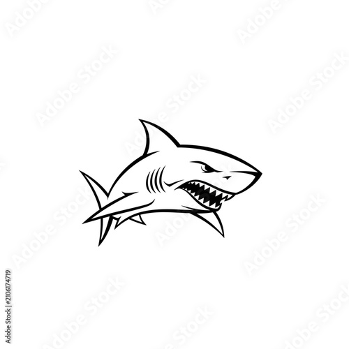 Aggressive Shark Illustration, Ocean Predator with Sharp Teeth, Fierce Marine Animal