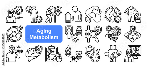 Aging Metabolism icon set, with Metabolic Aging, Slow Metabolism, Energy Decline, Weight Gain.