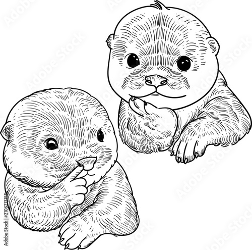 hand drawn artwork smile two cute baby otter.