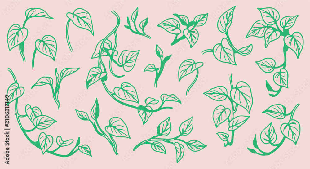 Fototapeta premium hand drawn ivy vine seamless pattern, vintage green ivy leaf vector, botanical climbing plant line art background, ivy leaf sketch fabric print design, green vine foliage wallpaper pattern, hand drawn