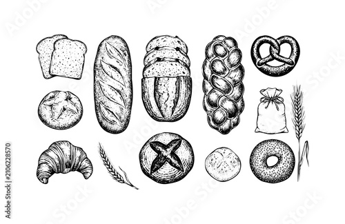 Hand drawn bread collection. Sketch illustration of bakery products and wheat ears.