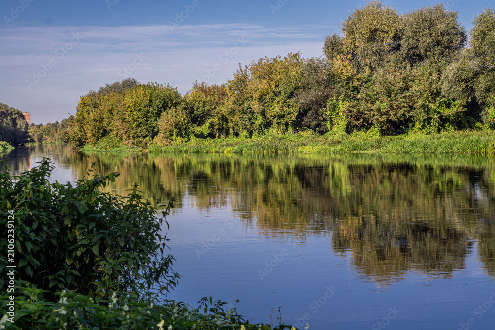 Fototapeta premium Serene river scene with still water perfectly mirroring lush green trees on its banks under a clear blue sky. Ideal for nature, tranquility, and landscape design concepts.