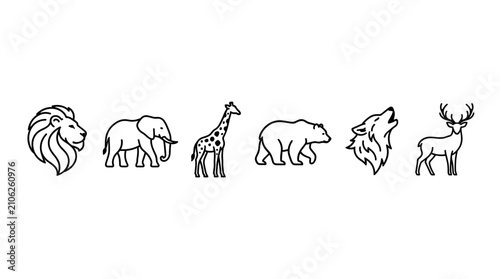 Photography Wild Animal Outline Icons Set Black Line Vector on White Background