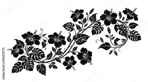 Black floral vine isolated on white