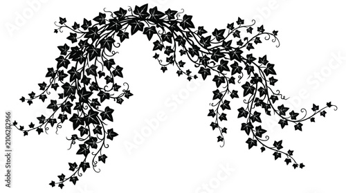 Black ivy leaf vine border