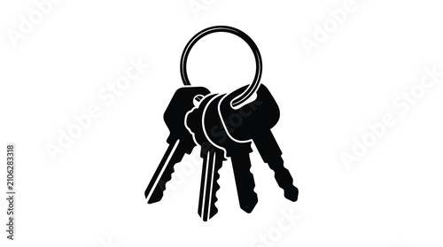 Black keys on a keyring