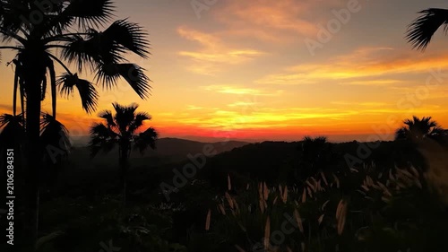 Silhouetted palm trees stand against a vibrant orange sunset in the tropical countryside